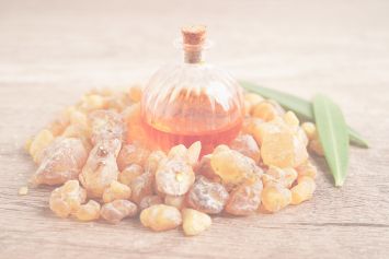 Boswellia Serrata : un anti-inflammatoire naturel  