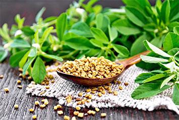 What are the benefits of fenugreek ?