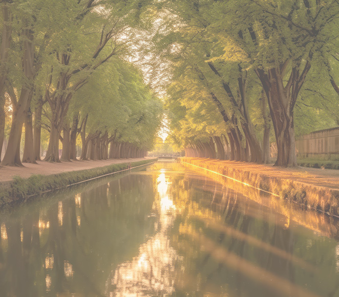 Photo d'un canal bordé d'arbres verts